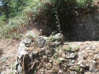 Monte Naturi